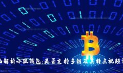 全面解析小狐钱包：是否支持多链及其特点视频