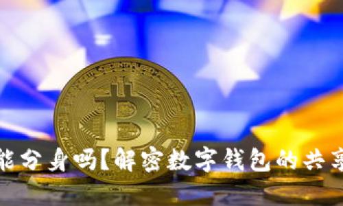 : 小狐钱包能分身吗？解密数字钱包的共享与隐私保护