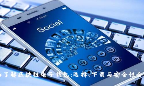 全面了解区块链电子钱包：选择、下载与安全性全指南