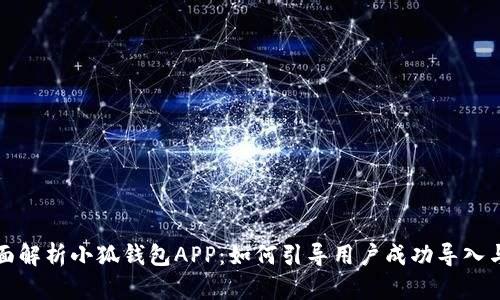 : 全面解析小狐钱包APP：如何引导用户成功导入与使用