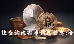 如何高效查询比特币钱包信息：全面指南