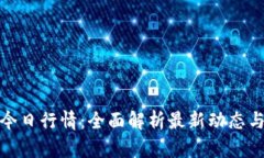 数字货币今日行情：全面解析最新动态与市场趋