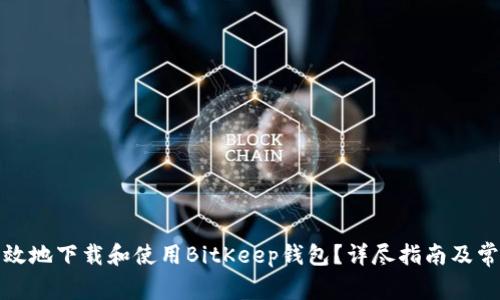 如何安全高效地下载和使用BitKeep钱包？详尽指南及常见问题解答