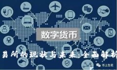 国内虚拟币交易所的现状与未来：全面解析及投
