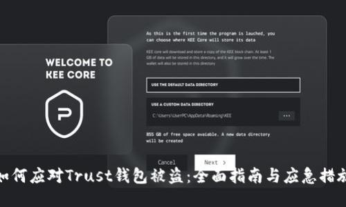 如何应对Trust钱包被盗：全面指南与应急措施