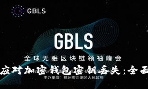 如何应对加密钱包密钥丢失：全面指南