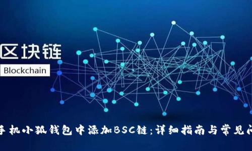 如何在手机小狐钱包中添加BSC链：详细指南与常见问题解答