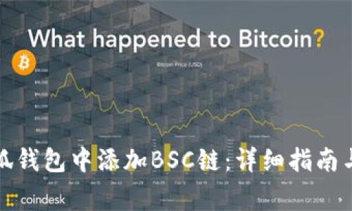 如何在手机小狐钱包中添加BSC链：详细指南与常见问题解答