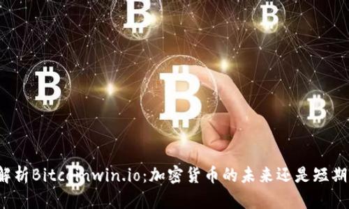 全面解析Bitcoinwin.io：加密货币的未来还是短期泡沫？