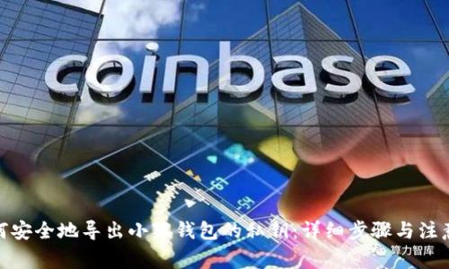 : 如何安全地导出小狐钱包的私钥：详细步骤与注意事项