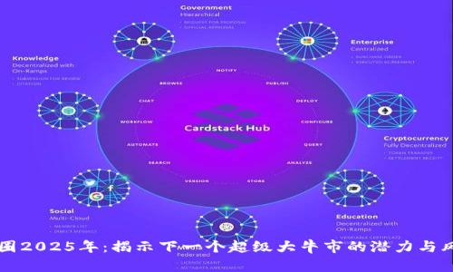币圈2025年：揭示下一个超级大牛市的潜力与风险