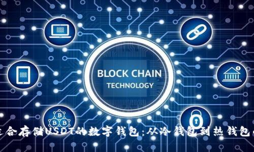 如何选择适合存储USDT的数字钱包：从冷钱包到热钱包的全面指南