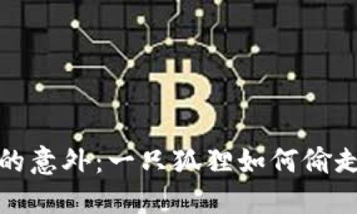 城市生活中的意外：一只狐狸如何偷走了我的钱包