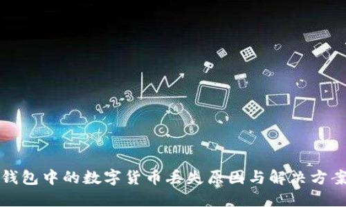 小狐钱包中的数字货币丢失原因与解决方案详解