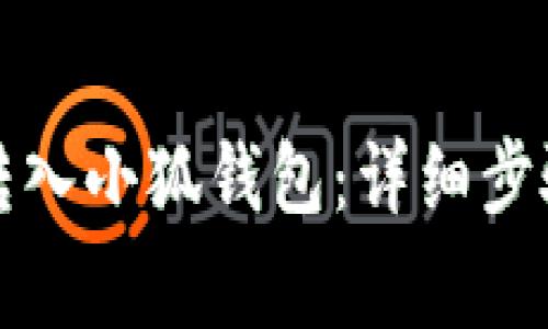 如何将资金转入小狐钱包：详细步骤与注意事项