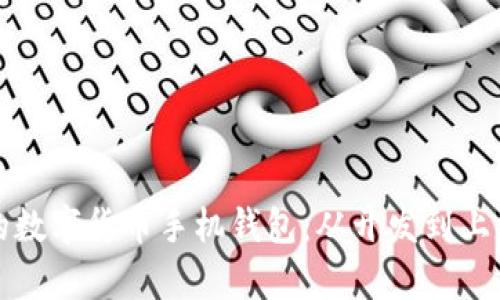 打造安全便捷的数字货币手机钱包：从开发到上线的全流程解析