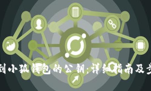 如何找到小狐钱包的公钥：详细指南及步骤解析