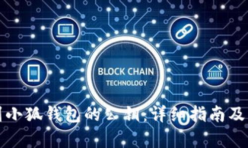 如何找到小狐钱包的公钥：详细指南及步骤解析