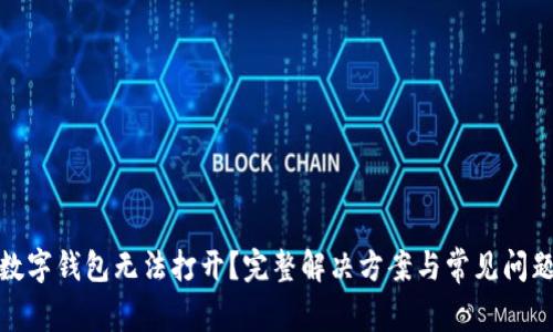 加密数字钱包无法打开？完整解决方案与常见问题解答