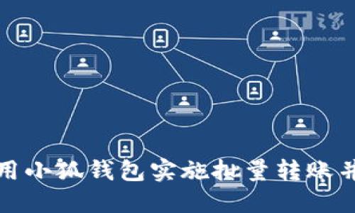 如何高效利用小狐钱包实施批量转账并管理资金流