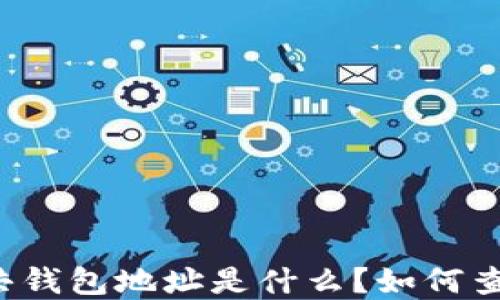 
区块链公共钱包地址是什么？如何查找和使用？