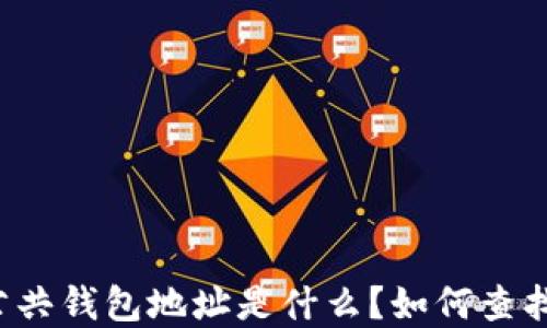 
区块链公共钱包地址是什么？如何查找和使用？