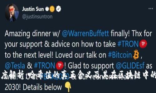 币圈深度解析：哈希值的真正含义及其在区块链中的重要性