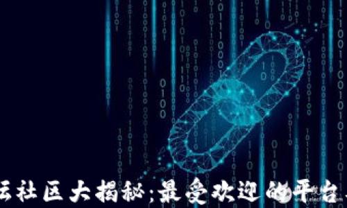 
币圈论坛社区大揭秘：最受欢迎的平台及其特点