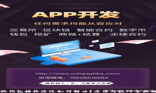 
小狐钱包接收延迟如何解决？方法与技巧全面解析